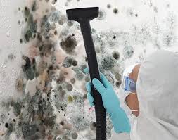 Mold Remediation for Rental Properties in Islandia, NY